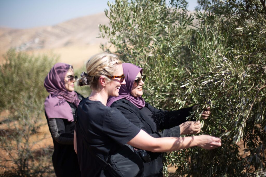 A blonde woman and two Palestinian women harvest olives side by side